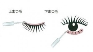 なぜまつげは伸びないのか？
